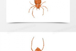 蜘蛛漫画图片,揭秘蜘蛛漫画中的奇幻世界