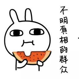 吃瓜娱乐常用bgm