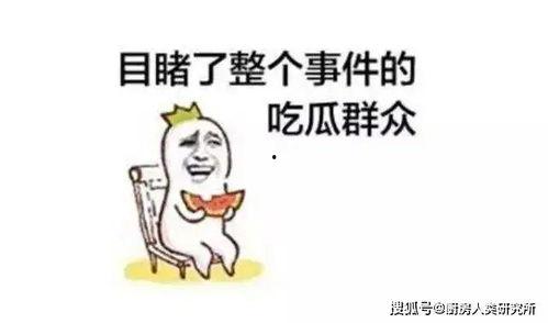 每天分享娱乐吃瓜的说说
